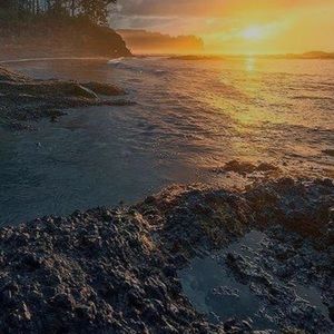 Meet your Posher, Cc